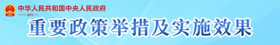 重要政策举措及实施效果